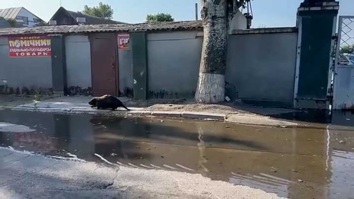 � ���������� ������� ��������� ����������� �� ���� 11,5 ������ ����� �����