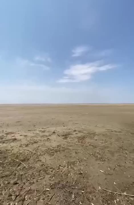 ���������� ������ ����� ������ ����������� ����� ���������� ��������� �������������, � BILD