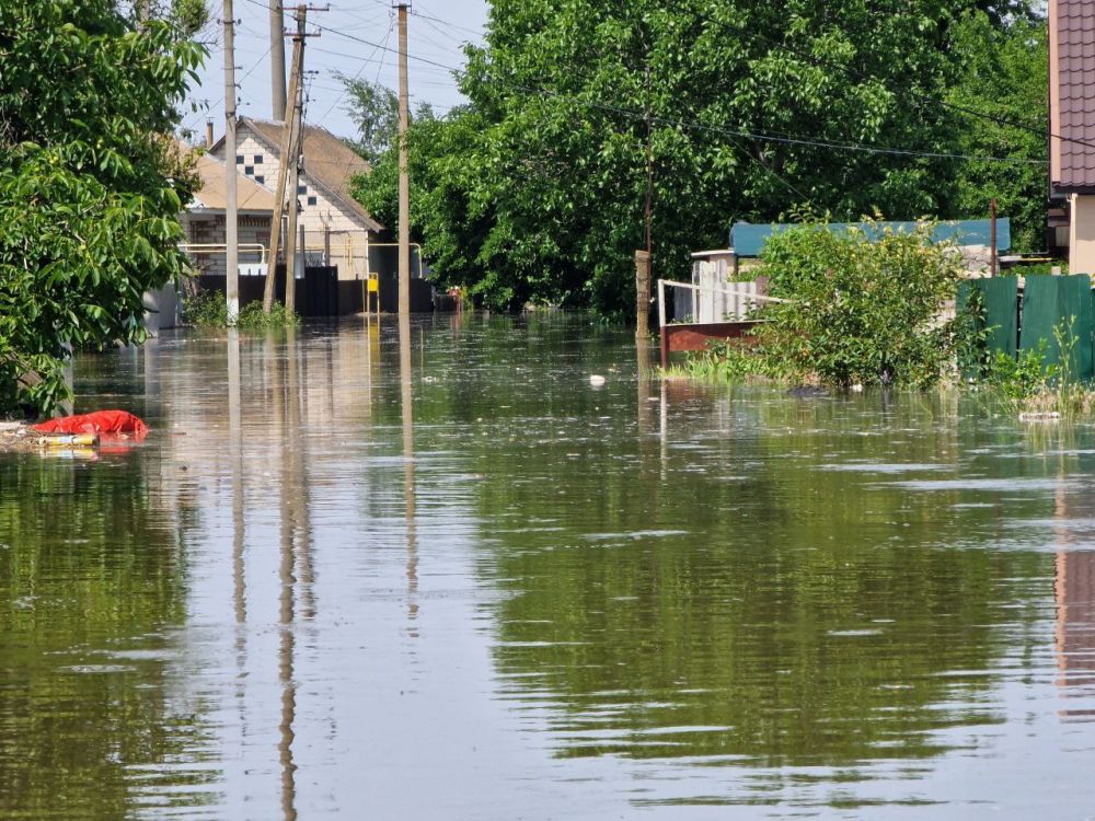 ����� 2 000 ������������ �� ���������� ������ � ���������� �������