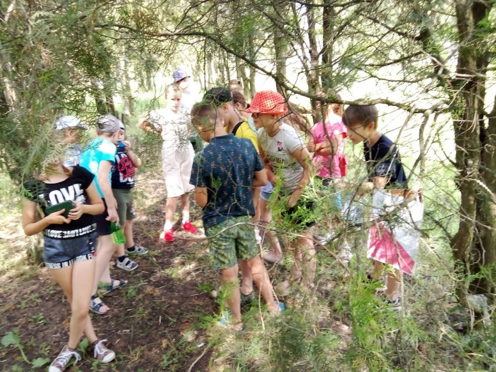 21.06.2023 � �������� ��������������� ������ �������� ���������� ����� "������" �� ���� ���� �� "����������������� �����" ��������� ������������� ����� "�������������"