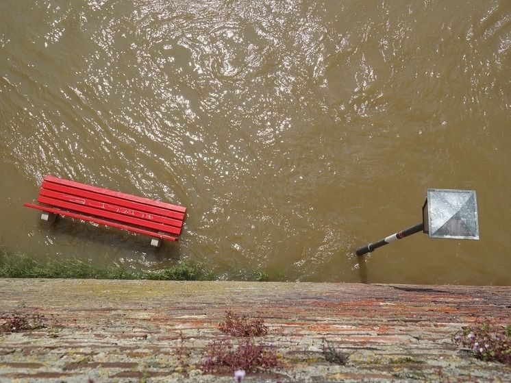 ����� ����� ���������� ��������� ��� ������� �� 41 ��������