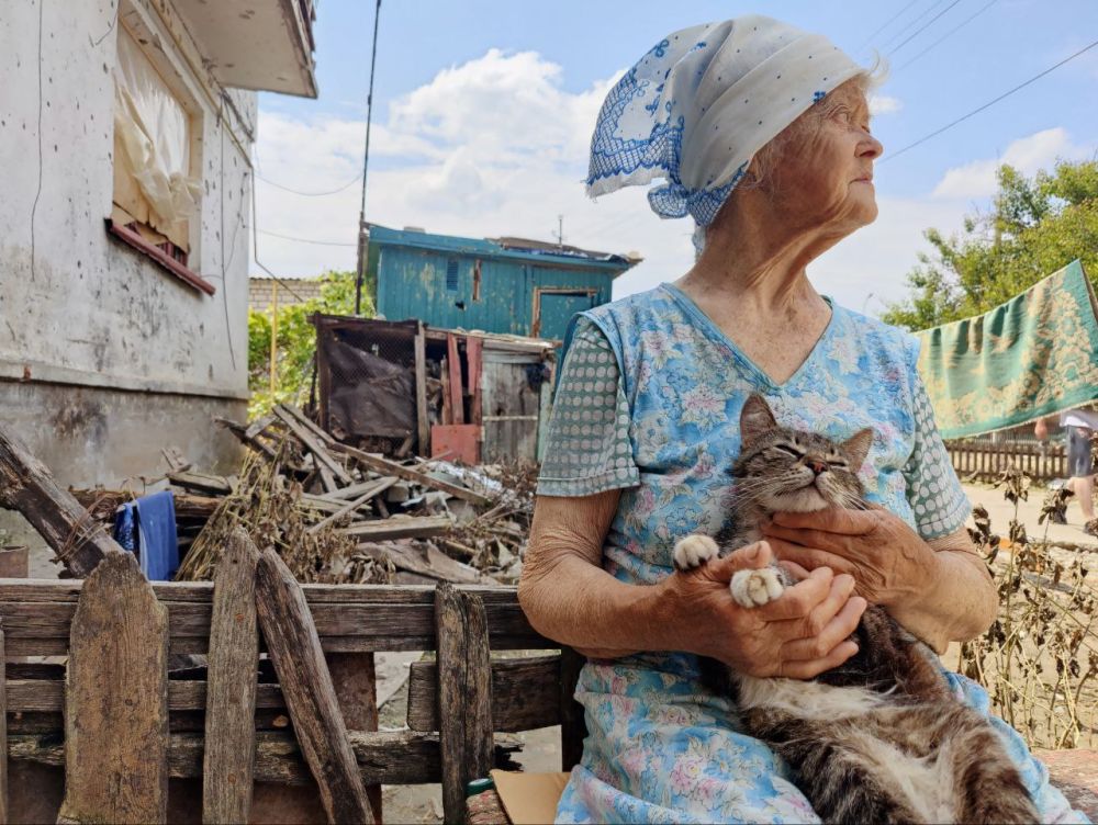 ����: ��������� �������