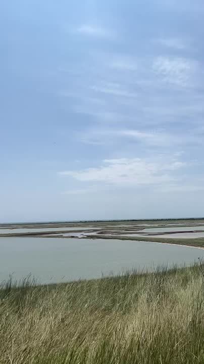 ������� ����������: ����� ����������. ������ � ��������. ����� ����� ������ ������ � ���, ��� ��������� ������� �������� ���������� ���������� ��������� ���. ��������� ��������� ����������, ��� ������������ ���� ���������� �����, ��� ������ �������