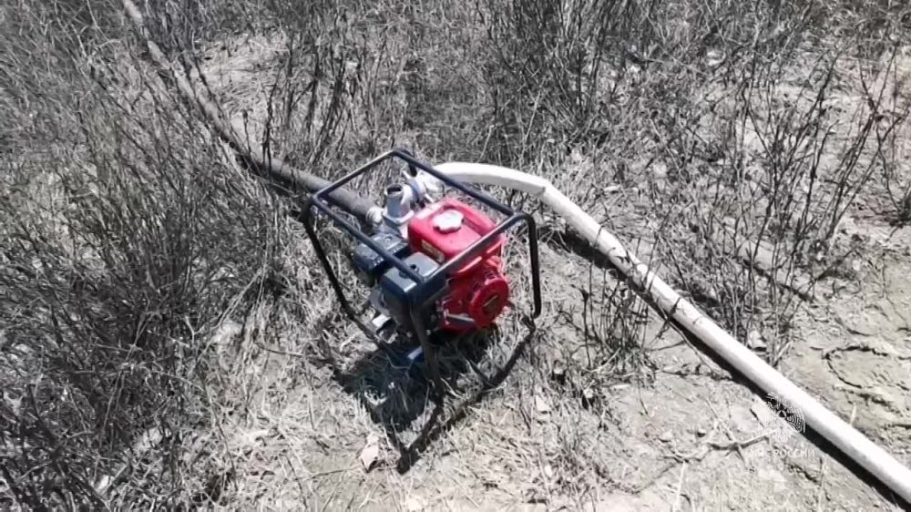 �������� ������: ���������� ��������� ����������� ������������ ��������, ��������� ����������� ��������� ���