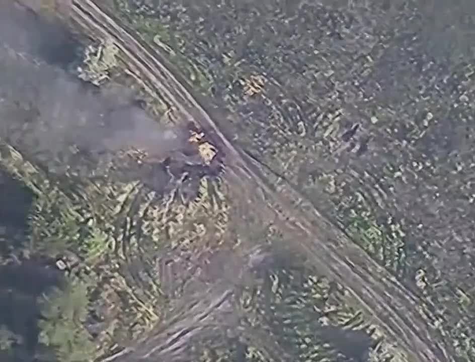 �� ���������� ����������� ���������� ������������ �������