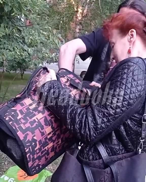 ���� ����� ������� �������� �� ������� � �������������� ���� � ������ �� ���� ���������� � ���������� ������� ����������� �� ������ ��������� � ������