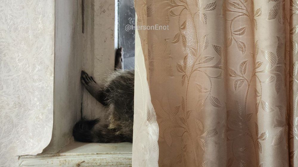 ���� �� �������: ������, � ������� ���� ��� ������ ���� �� �������, ��������� ������ �������