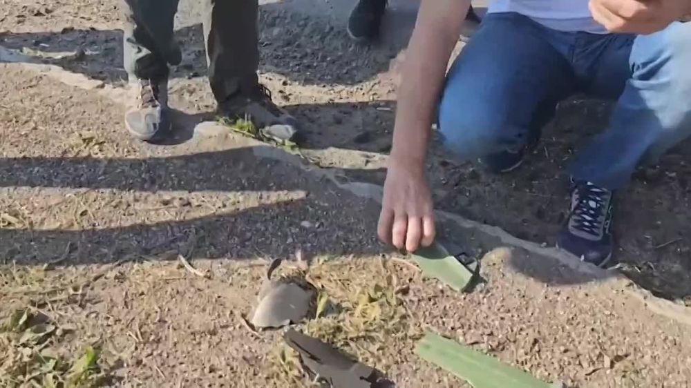 ������ ����� ����� ����� ��������� � �������� ������ ���������������� ����������� �������� ������, ����������� ���� � ��� ������