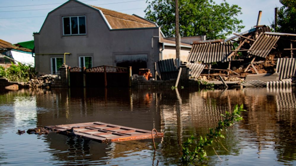 ����� �������� � ���������� ������� ����� ������� ��������� ��� ������� �� 46