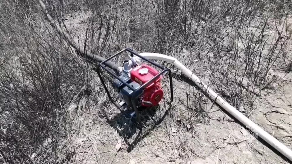 � ���������� ������� 50% ������������ ����� ����� ������������ �� ����