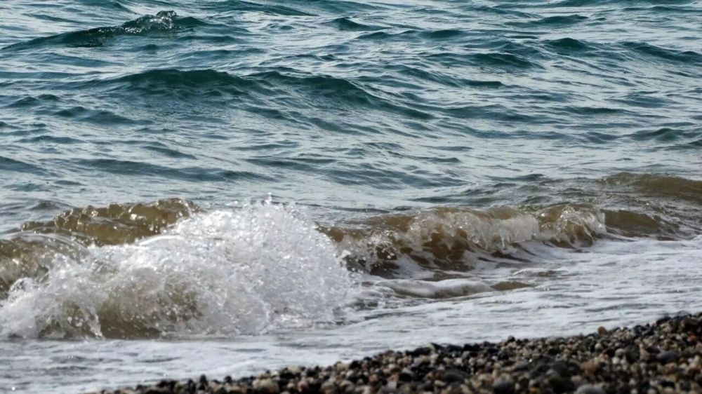 ������ ������� �������� ���� � ����� ����� ���������� ���