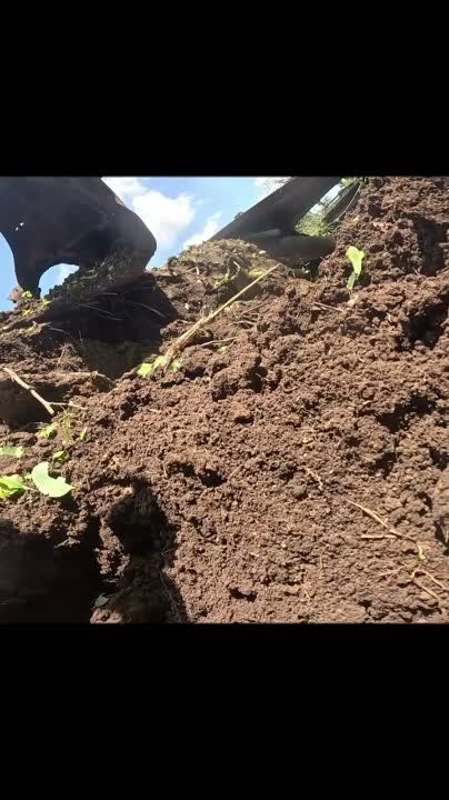 ����������� ������������ � �������� ���������� ������� ����