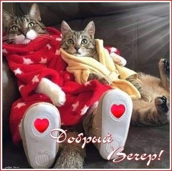 ���� ������� ������, ������!