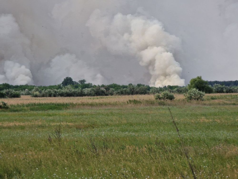 ��� ���������� ������� ���������� ������� ���������� �������