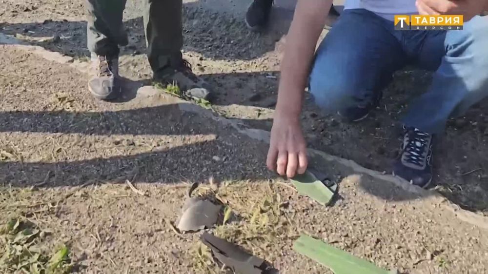 "����� ����� ����� ����� ���������!": �������� ������ ������ �� ����� �������� �� ������� ����������� ��������� ������, ����� ������� �����