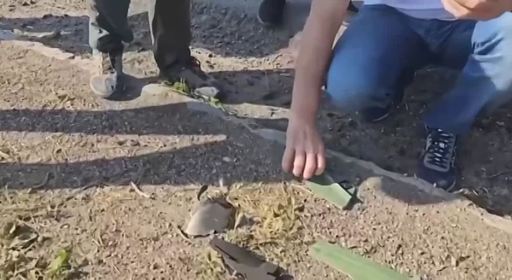 ����� ��������: �������� ������ ���� ����������� ���������� ������� ��������� � ������������ ����� �� ������ � �������