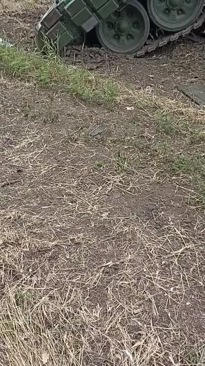 ���������� "�����������" �� ����������� �����������