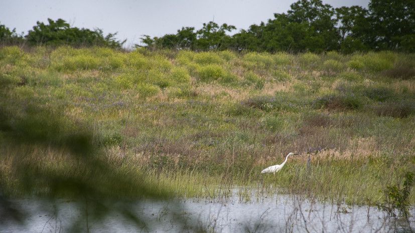 ������� RT ������� ��������� � �������� � ������ ����������� ���������� �������������