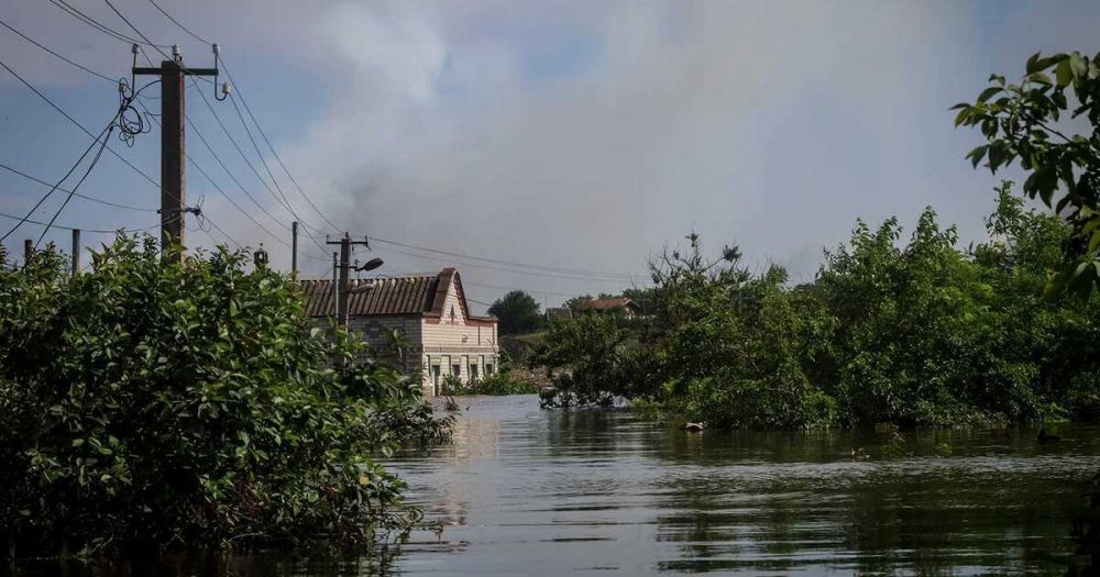 ����� �������� ����� ���������� ��������� ��� �������� �� 46 �������