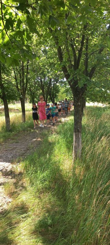 � ���������� ��������� 22 ���� �������� ��� ���� ������ � ������