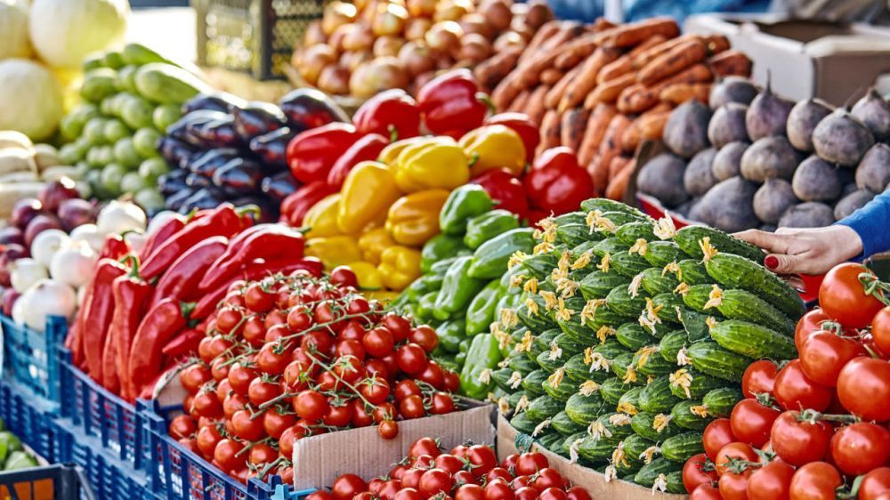 � ��������� ������ ������������ ���������� ���������� �������������������� ���������