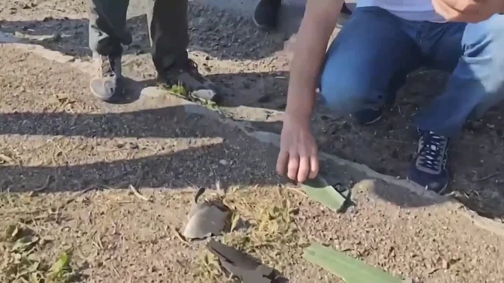 ������: ��������� � ������ ������������ � ���� ������ ����, ���� �� �������� ������� ����� ��������������