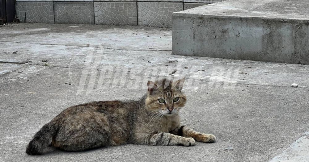 ����� ������� �� ����� ����� � ������� �������