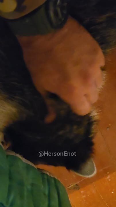 ���� �� �������: ������, ���� ������� ���� � �������� ���!