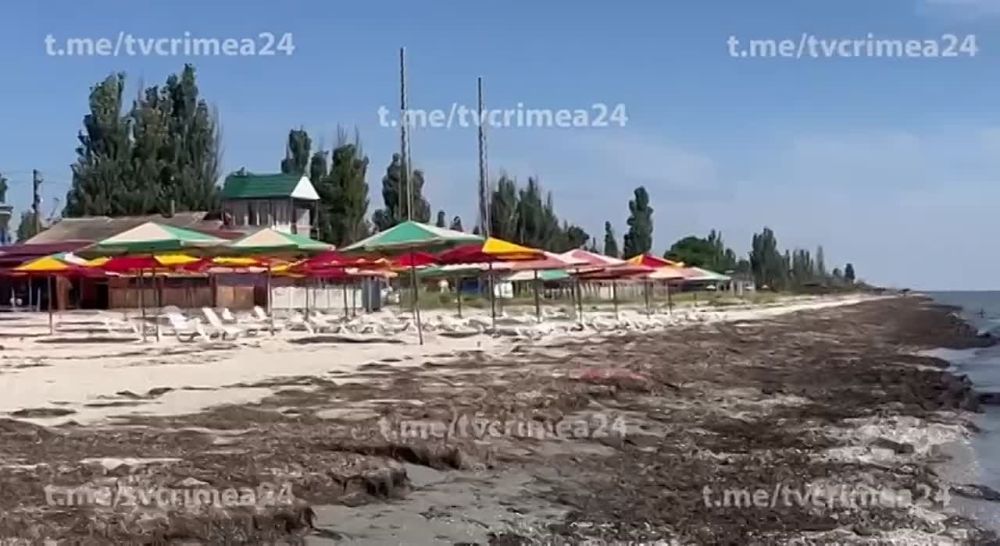 ����� � ���������. ���� ��� ������, ����� ��������