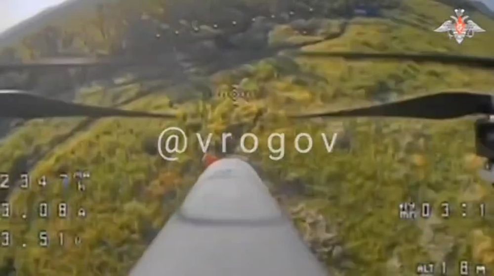 �������� �����: ����������� �����: ������� ���� ��������� ������� ����� �������� ���