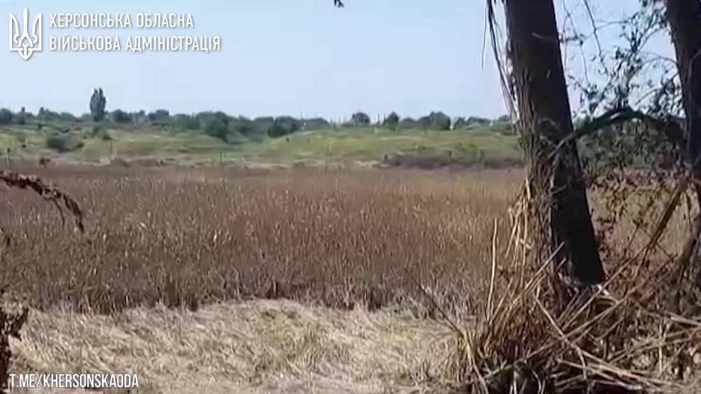 � �� ��� ������.... 37 ����������� � ����� ������� ������� ���������� �� ������� �� ������������ ����������. ������������ ��� �������� ��� ���������� ������ � 86 �����