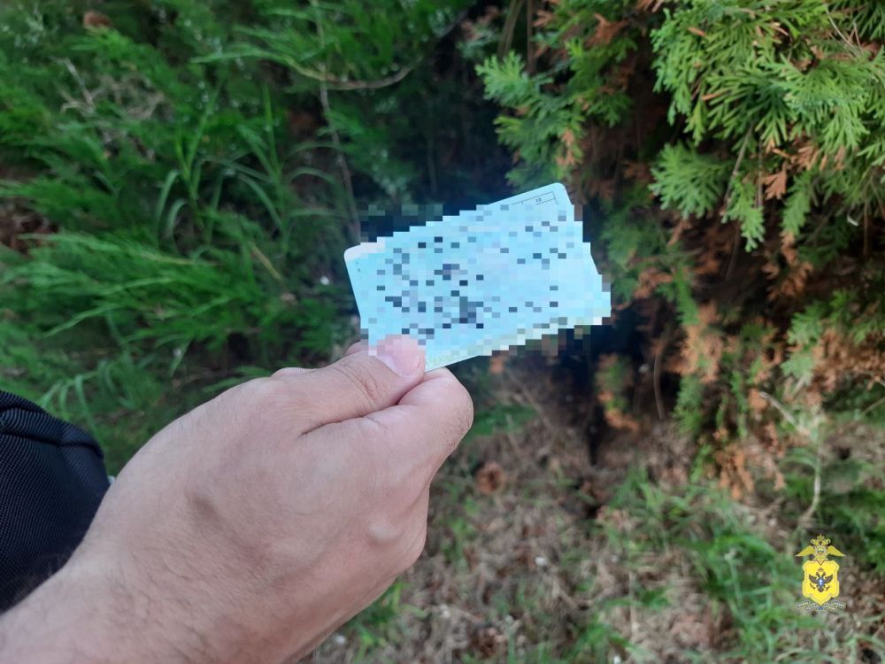 ����������� �� ����� ������� �������� ���������� � ������� ��������� ����������� � ���������� �������