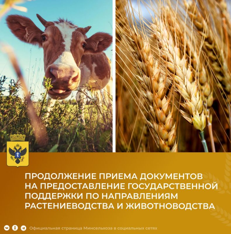 ���������� � ������ ���������� �� ������������ �� ������������ ��������������� � ��������������