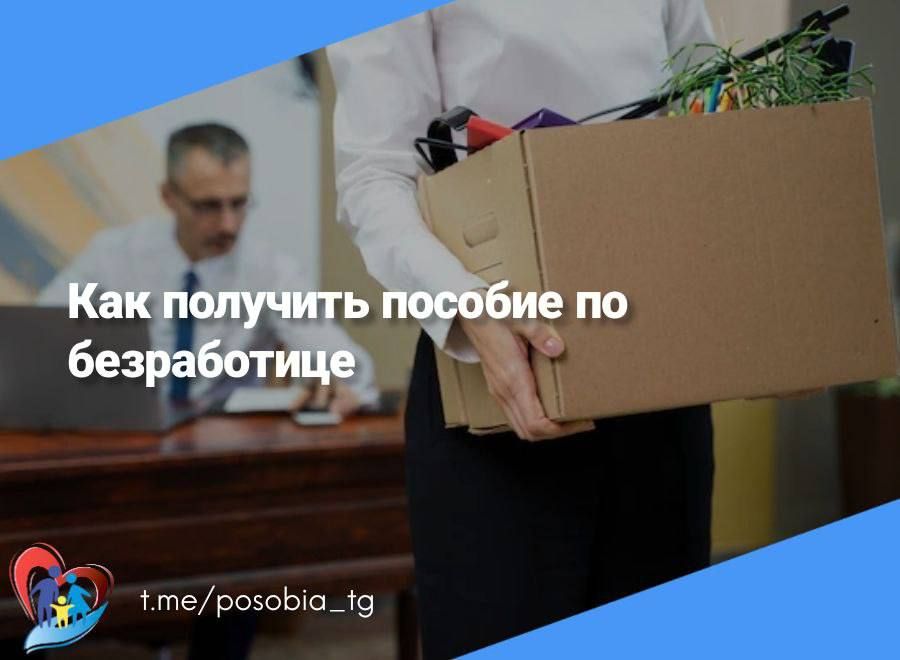 �������� 53 ���. ������ ��� ������ ������