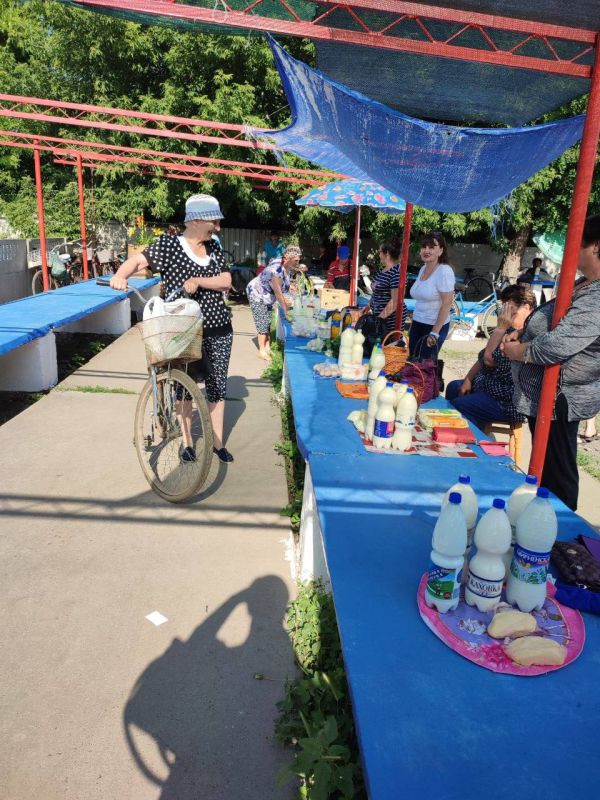 �������������������� ������� ������ � ���. ��������