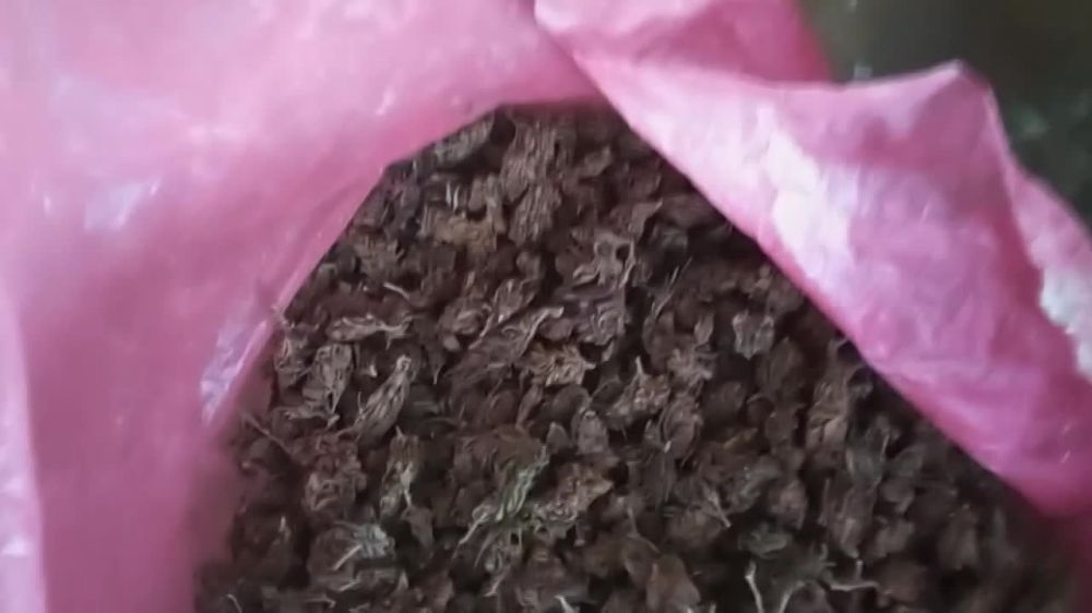 ����������� ������ ������� ��������� � 47-������� ������ ���� �������