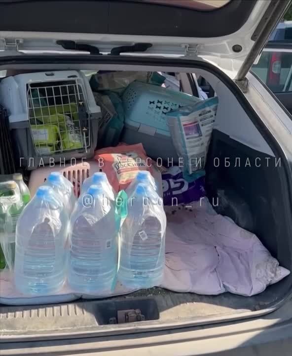 �������� ���� ��������� � ������ � ������������ �� �������-��-���� ������ ������������ �������� �� ������������ ����� ��������