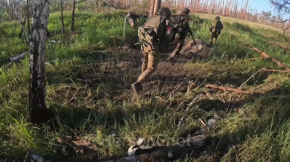 ���� �� �������: ��� ������� ��������� ������, � ���������� ���� ����� �������� ��������