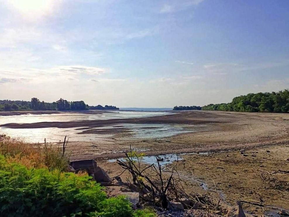 � ����������� ��������� �� ������������ � �������