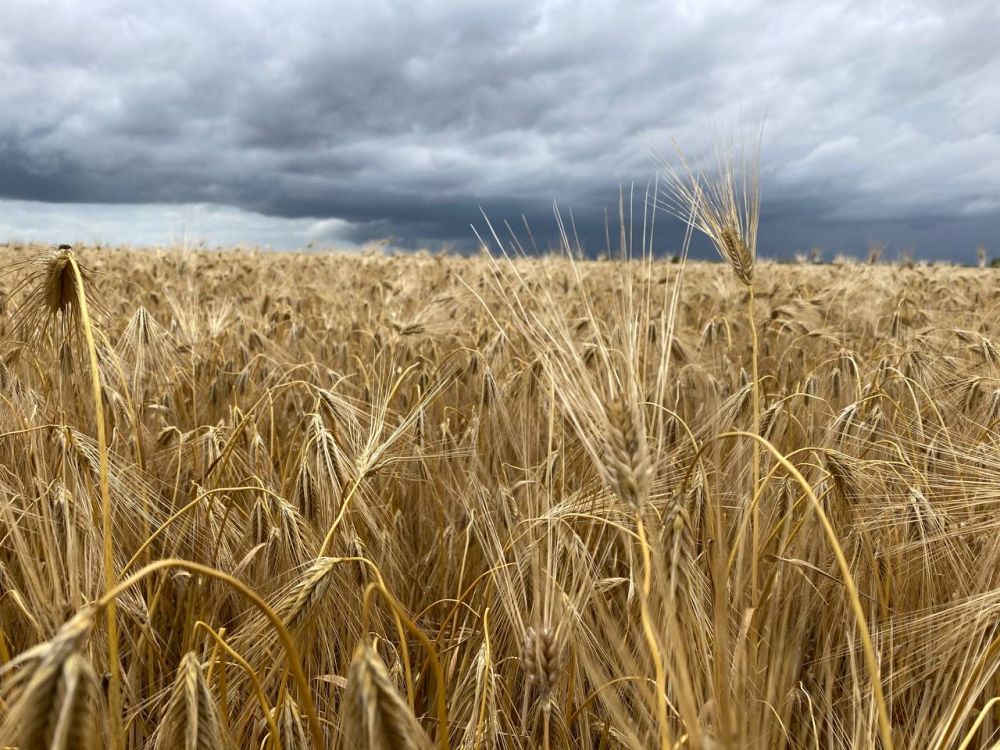 ������ ������� ������ �������� � ���������� �������