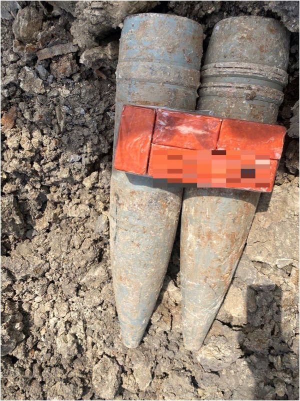 ���������� ������� ������� ����� � ������������ � ���������� ������