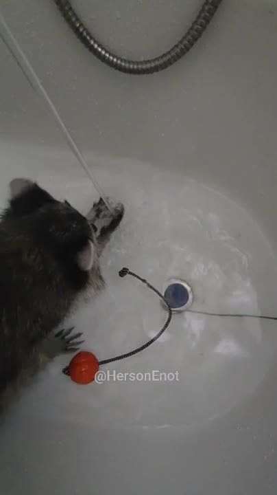 ���� �� �������: ���� �����! � ��� ��� ������� ������ ������� ������ �����