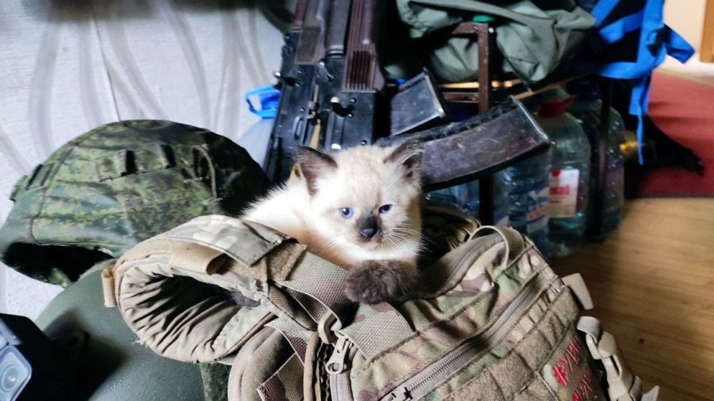 � �� ������ ������ ������ ���������