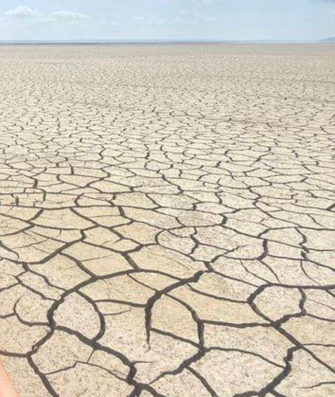 ��� �������� � ���� ��������� ���� � ������������������ ����, �� ��� ������������ ���������� ��������� ���������� �������������