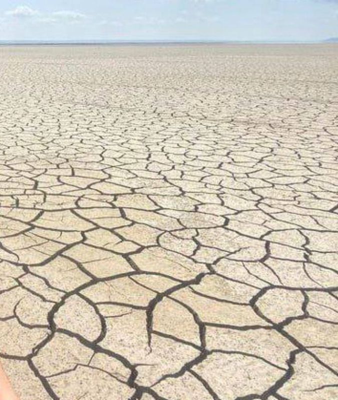 ����� ��������: ��� ����� ����� ��� �������� ��������� ���充�