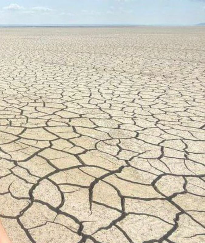 � ���� ��������� ���� ���������� �������������