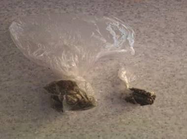 � ������ ��������� ������ ������ ����� ��������� � ����������� ��������������