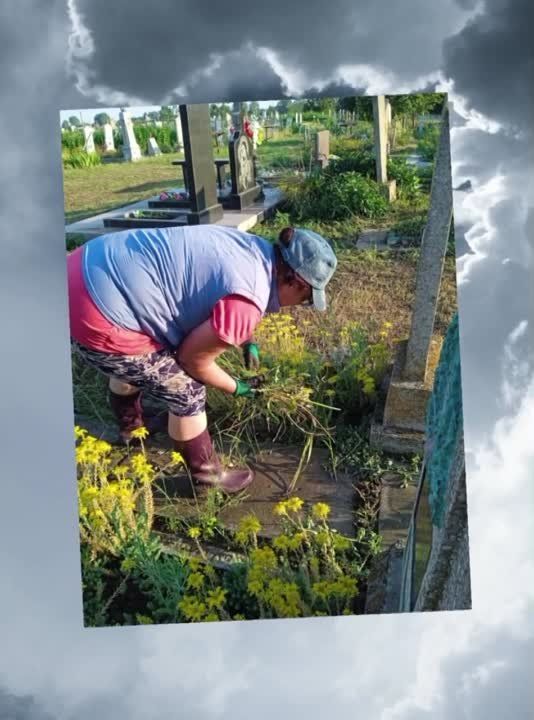 ������ ��������� �����������