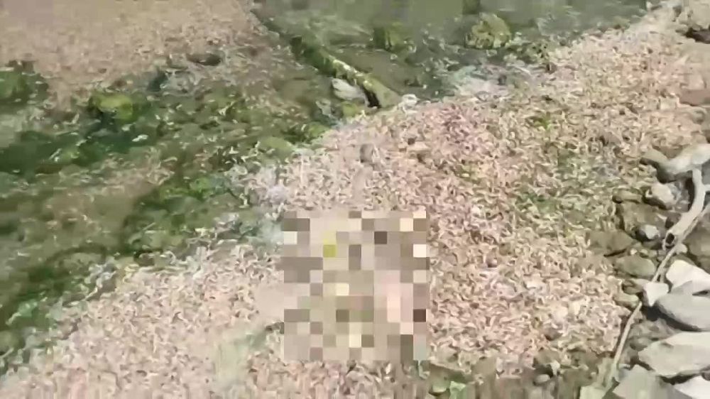 ���� � ������ ������ �������� ���