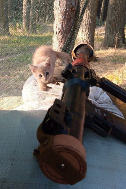 ������ ��������� ����� � ���� ������, �������� ���� ������������ ������ �� ������ ����� �������